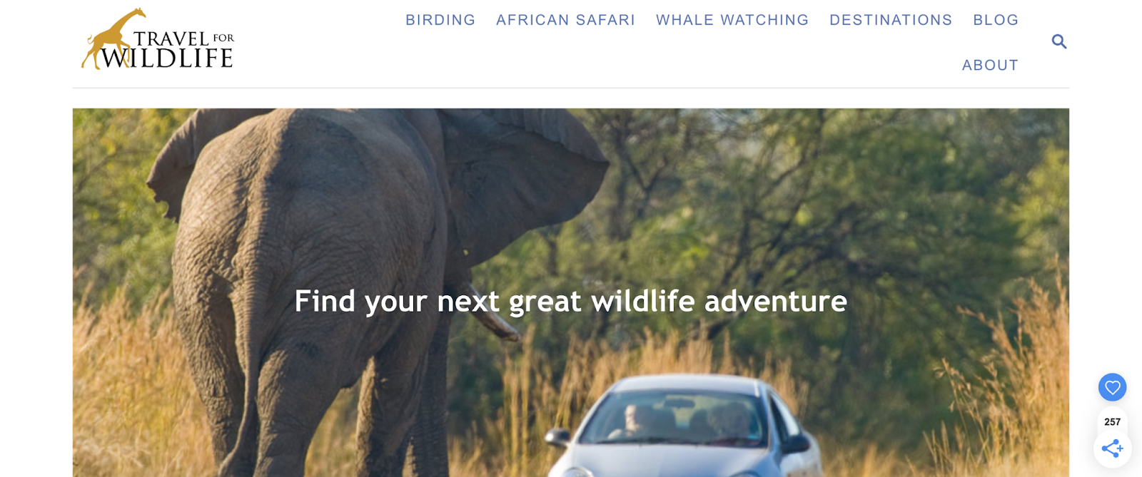 Travel For Wildlife is a travel blog run by a zoologist and conservation biologist that shares wildlife-watching destinations around the world A screenshot of the Travel For Wildlife website homepage