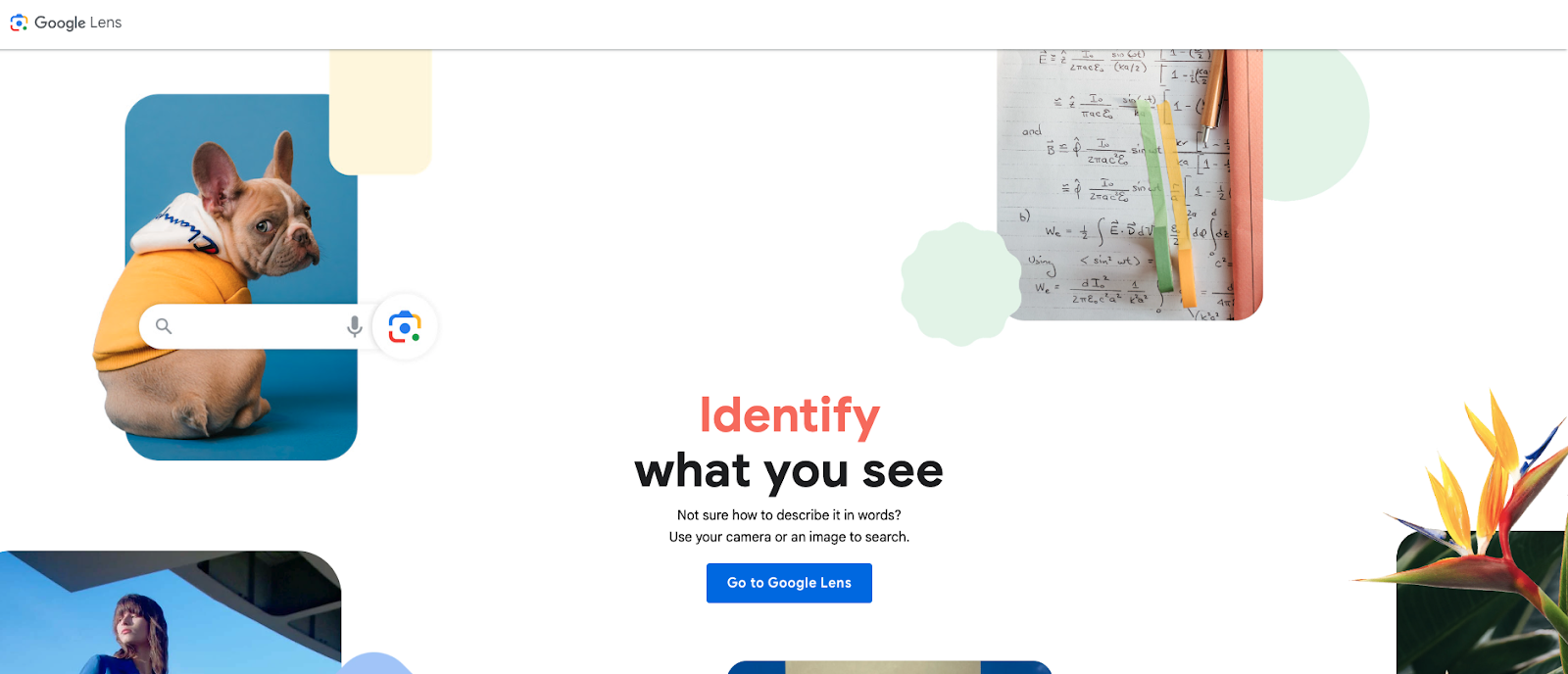 Visual search AI revolutionizes how travelers discover their next destinations. The image displays the homepage for Google Lens. The webpage conveys how you can identify what you see simply by taking a picture of the item, including flowers, pets, fashion, and arithmetic. Other utilizations of the program include translations and search engines.